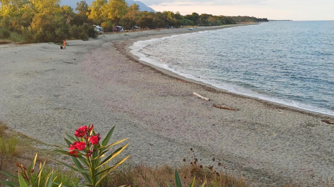 Les Jardins De La Mer Marine De Bravone - 2 Chambres A Lit Plus Sofa Avec Piscine A Cote Mer Linguizzetta Zewnętrze zdjęcie
