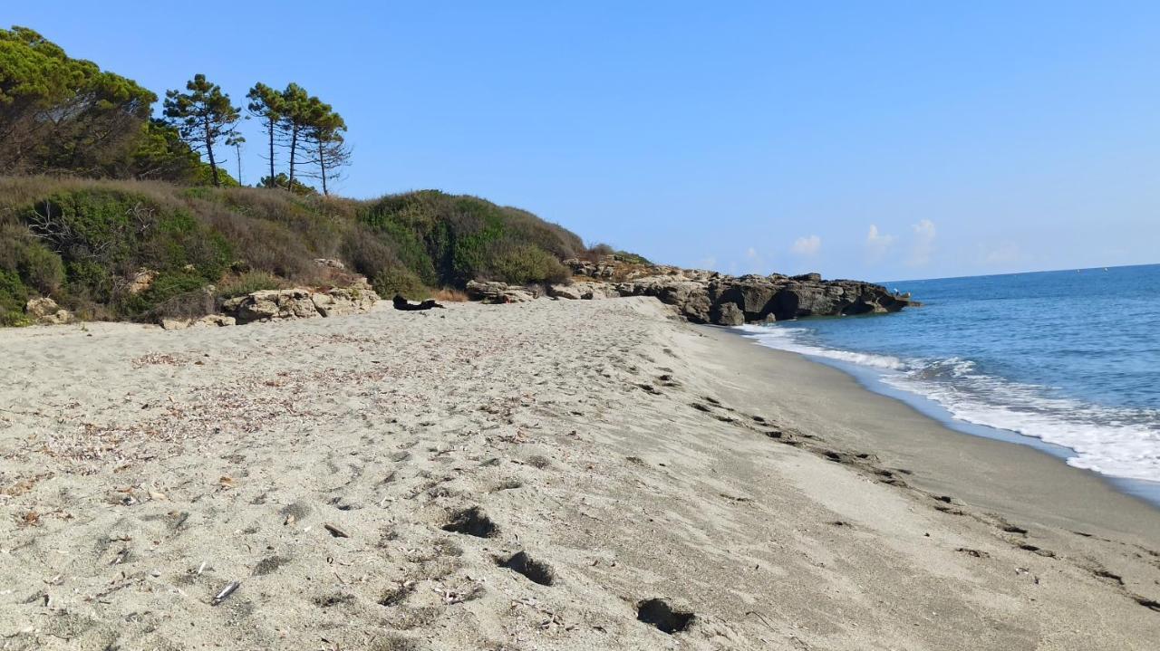 Les Jardins De La Mer Marine De Bravone - 2 Chambres A Lit Plus Sofa Avec Piscine A Cote Mer Linguizzetta Zewnętrze zdjęcie