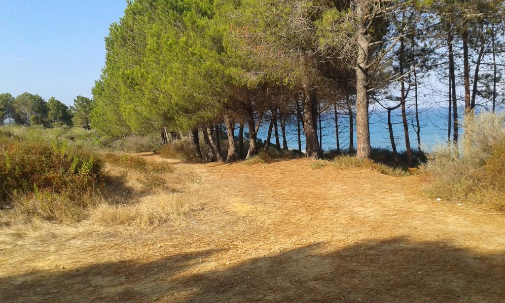 Les Jardins De La Mer Marine De Bravone - 2 Chambres A Lit Plus Sofa Avec Piscine A Cote Mer Linguizzetta Zewnętrze zdjęcie